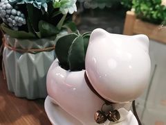 -Poke lemon海鲜波奇饭·柠檬茶(金碧开放小区店)