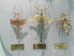 -北京国际鲜花港