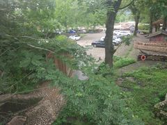 -九曲溪竹筏码头