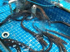 -美达尔烧烤(大尧三路店)