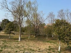 -南湖湿地公园