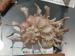 -中国湿地博物馆