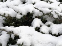 -白塘生态植物园