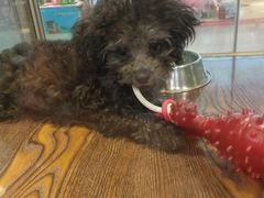 -乐宠宠物店(世纪金源店)