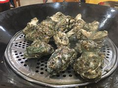 -蚝专家(北滘店)