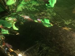 -巴伐利亚啤酒坊(意式风情街店)