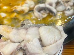 -大鼎石锅鱼(春江里店)
