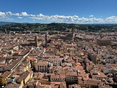 -圣母百花大教堂穹顶