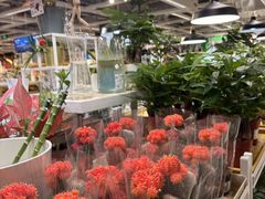 -宜家家居(西安未央商场店)