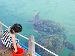 -海南分界洲岛旅游区