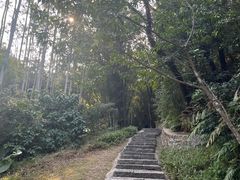 -黄埔油麻山森林公园