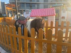 -造物庄园 萌宠纪(苏州湾歌林公园店)