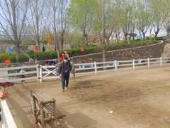 -西部长青自然儿童乐园