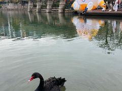 -大梅沙游艇度假酒店