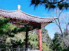-云岗森林公园