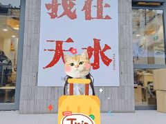 -胖子鱼·油泼甘谷辣子炝活鱼(秦州407店)