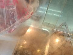 -北京王府井烤鸭(泰兴店)