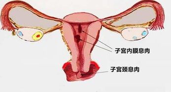 -邢台妇产医院