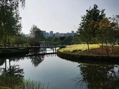 -眉山湿地公园(东坡区)