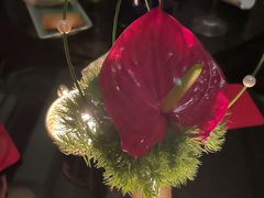 -SIR ELLY'S 艾利爵士餐厅