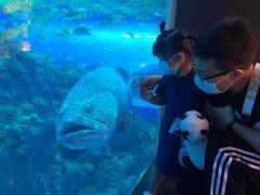 -成都浩海立方海洋公园