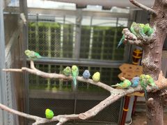 -正佳雨林生态植物园