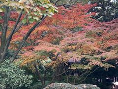 -中国茶叶博物馆(双峰馆区)