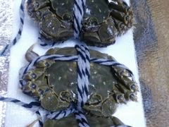 -乡乐园蟹庄·阳澄湖农家乐