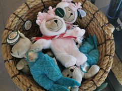 -星巴克(扬州珍园店)