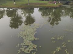 -尚贤河湿地