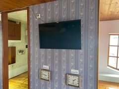 -金山农民画村-枫泾波兰倒置屋