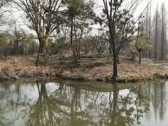 -洛阳市隋唐城遗址植物园