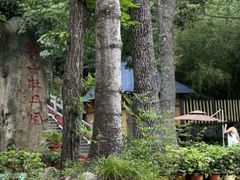 -洛阳白云山景区