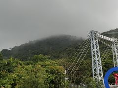 -呀诺达热带雨林