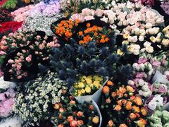 -双季花艺园艺市场(浦东店)