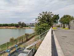 -立新湖公园