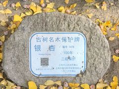 -汇龙潭