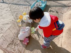 -前小桔亲子创意农场·草莓采摘·露营烧烤