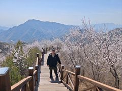 -大岭沟猕猴桃谷风景区