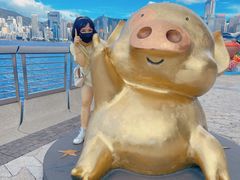-星光大道