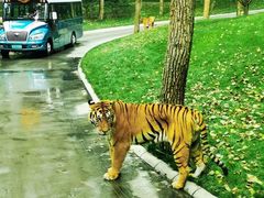 -北京野生动物园