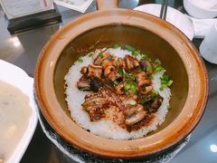 -红星光发煲仔饭(文海店)