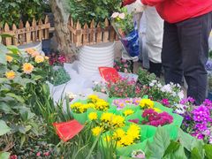 -金陵花卉交易市场