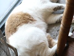 -251#coffee roasters(沿河东路店)