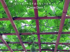 -兰陵国家农业公园