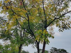 -眉山湿地公园(东坡区)
