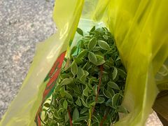 -双季花艺园艺市场(浦东店)