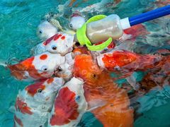 -海合安成都极地海洋公园