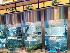 -老船舫·现做活鲜鱼馆(东郊记忆店)