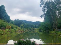 -深圳仙湖植物园